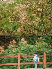 在福州｜安利這個值得帶小朋友N刷的寶藏公園
