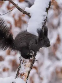 再吃，再吃就把你拍下來，放到網上去！