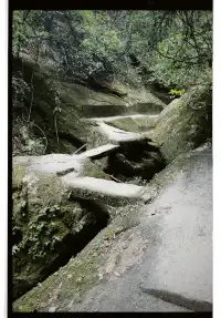 清冷武夷山，最宜岩骨花香漫步