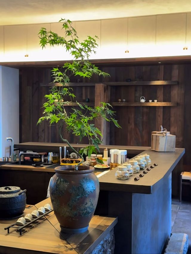 逃離喧囂｜在柏里這一扇綠窗遇見自己