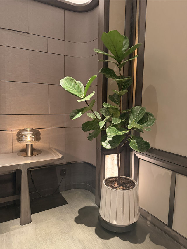 瀋陽這家酒店也太頂了