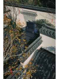 旗山湖悅湖,住這裡太治癒