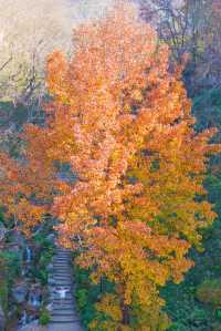 以為宏村秋天夠美了,直到去了這個皖南小鎮