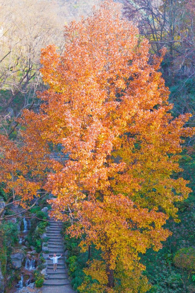 以為宏村秋天夠美了,直到去了這個皖南小鎮 以為宏村秋天夠美了,直到去了這個皖南小鎮