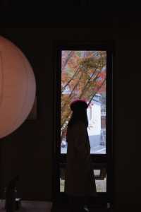 浙G秋假|去景德鎮到“瓷”一遊呀