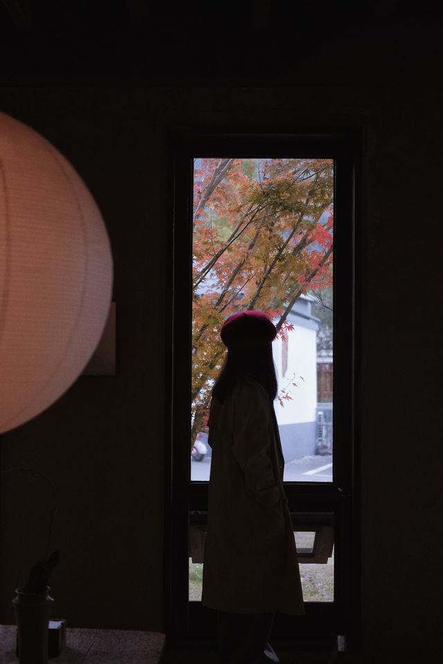 浙G秋假|去景德鎮到“瓷”一遊呀 浙G秋假|去景德鎮到“瓷”一遊呀