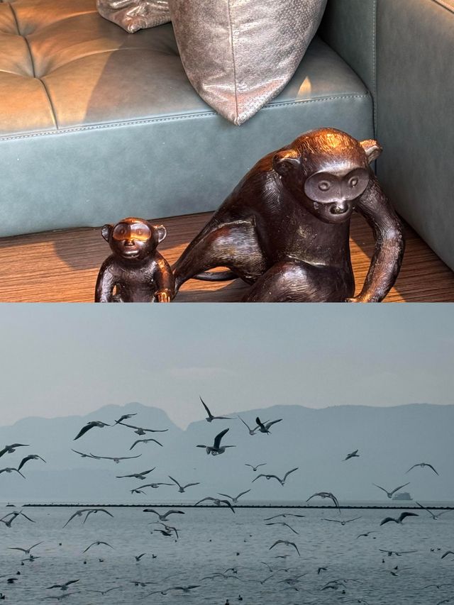 昆明君悅套房重磅來襲！6500分體驗奢華值不值？