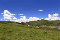 歡迎來塔公草原遊玩