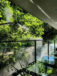 昆明這家法式秘境酒店也太絕了!一秒穿越南法