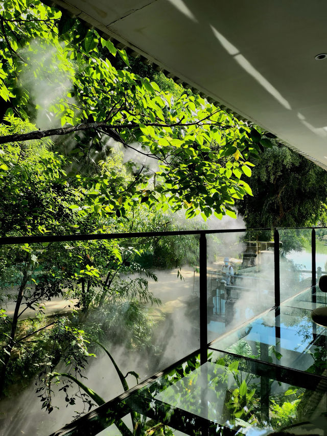 昆明這家法式秘境酒店也太絕了!一秒穿越南法 昆明這家法式秘境酒店也太絕了!一秒穿越南法