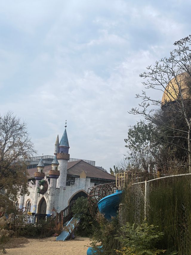 上海植物園隨拍