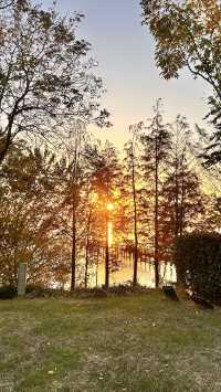 原來茅山可以開車直達山頂