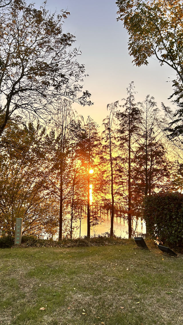 原來茅山可以開車直達山頂