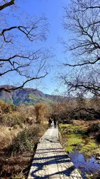塔川宏村盧村奇墅湖秋景一日攻略