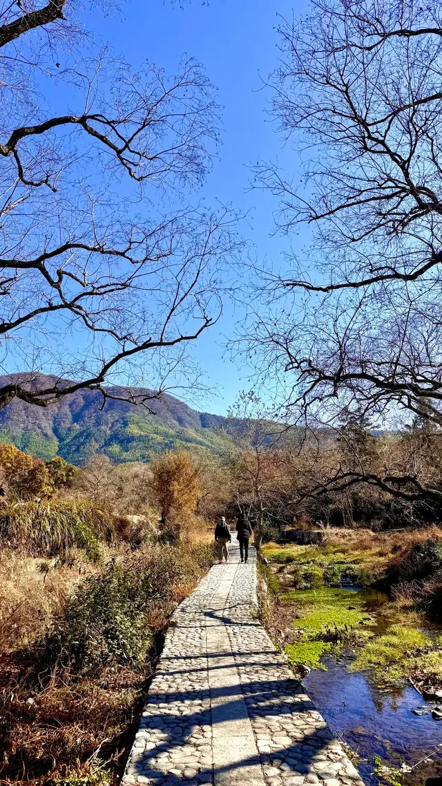 塔川宏村盧村奇墅湖秋景一日攻略 塔川宏村盧村奇墅湖秋景一日攻略