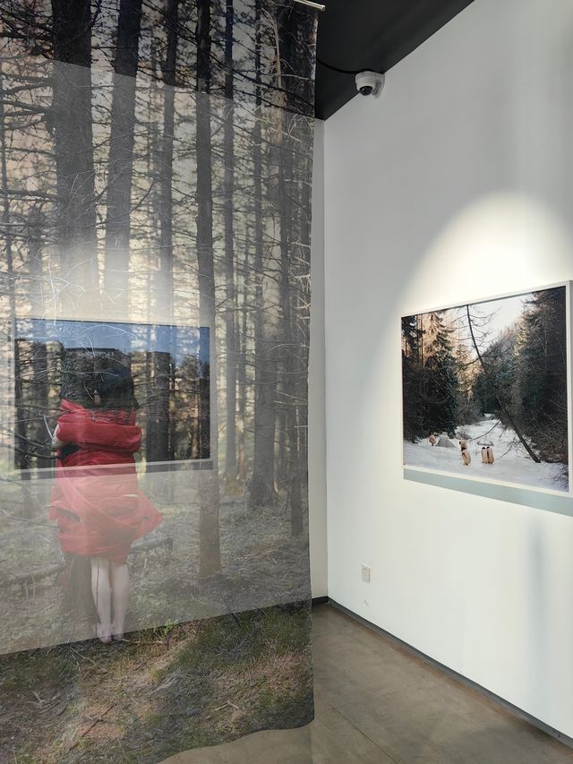 觀看的回路 觀看的回路