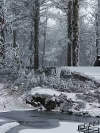 踏雪而上,赴轎子雪山的白頭之約