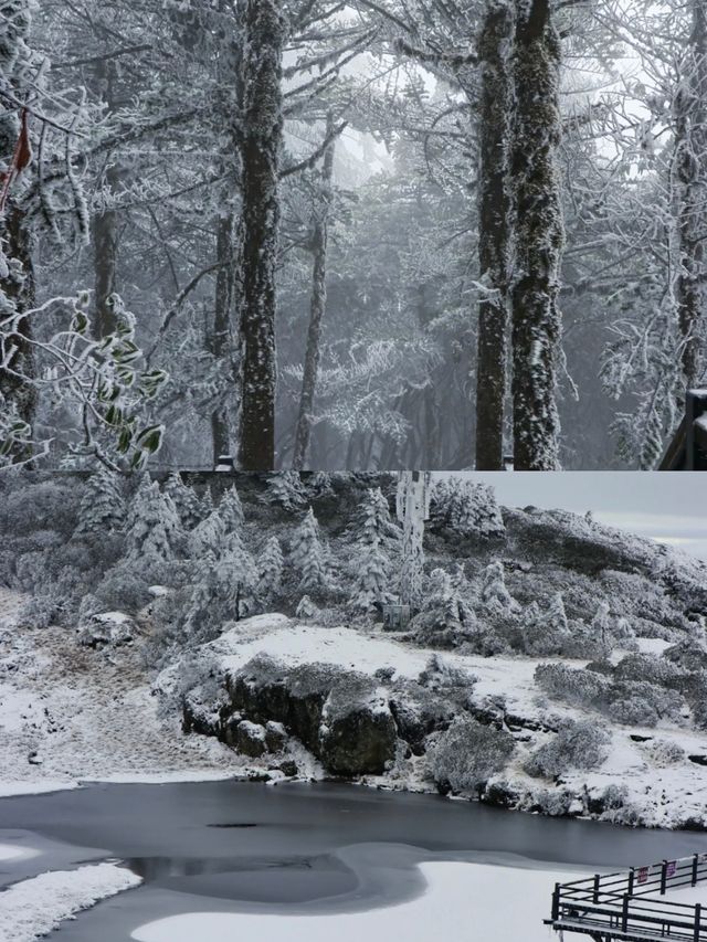 踏雪而上,赴轎子雪山的白頭之約 踏雪而上,赴轎子雪山的白頭之約