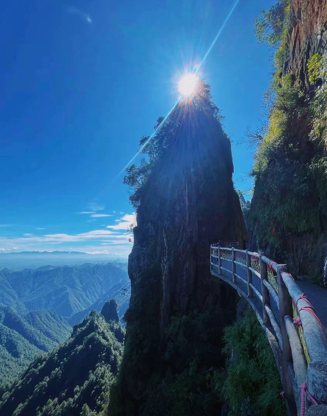 莽山五指峰保姆級攻略雲端漫步,全家輕鬆遊! 莽山五指峰保姆級攻略雲端漫步,全家輕鬆遊!