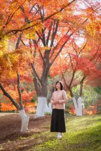 真的紅了武漢青山公園11.27實拍，美絕了