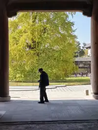 濮院|從宜興出發1.5h找到古鎮白月光!