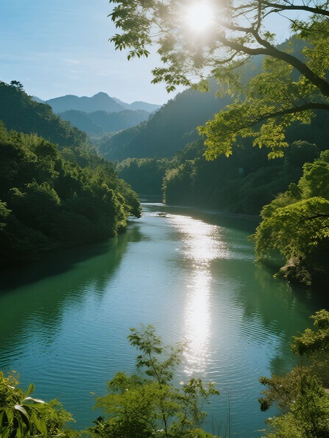 鼎湖山親子避暑攻略帶娃解鎖森林瀑布 清涼一夏 鼎湖山親子避暑攻略帶娃解鎖森林瀑布 清涼一夏