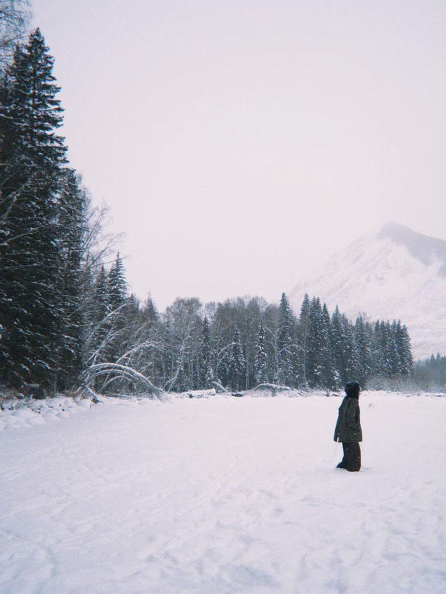 Heavenly Hemu: Ski Through China’s Snowy Fairy Tale! ⛷️ Heavenly Hemu: Ski Through China’s Snowy Fairy Tale! ⛷️