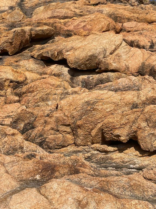 江門那琴半島｜奇石海岸藏秘境 棧道蜿蜒入畫中