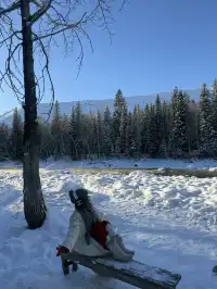 為了這18張圖，我特地飛了一趟阿勒泰（附攻略