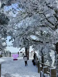 西嶺雪山下雪實況！1日遊成都往返才花68