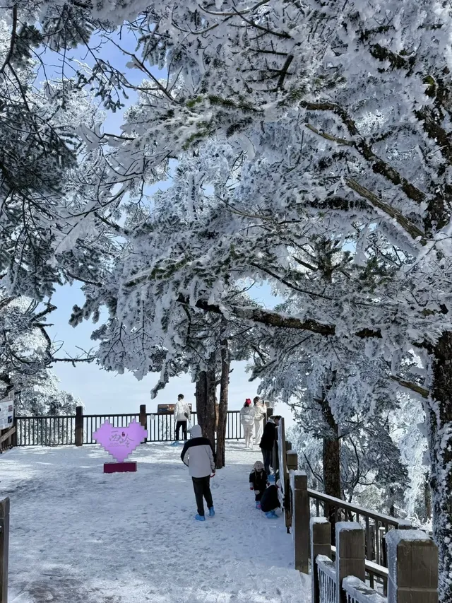 西嶺雪山下雪實況！1日遊成都往返才花68