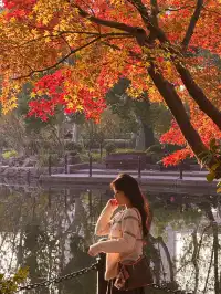 12.5號實拍 | 魯迅公園週末應該會有萬人參觀