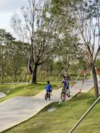 迄今為止最愛的一條深圳citywalk看海路線