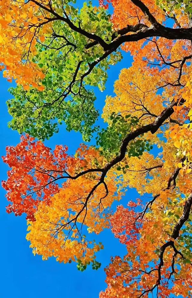 昆明的秋天 昆明的秋天