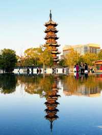 魔都秋日限定龍華寺美成古畫了!!!