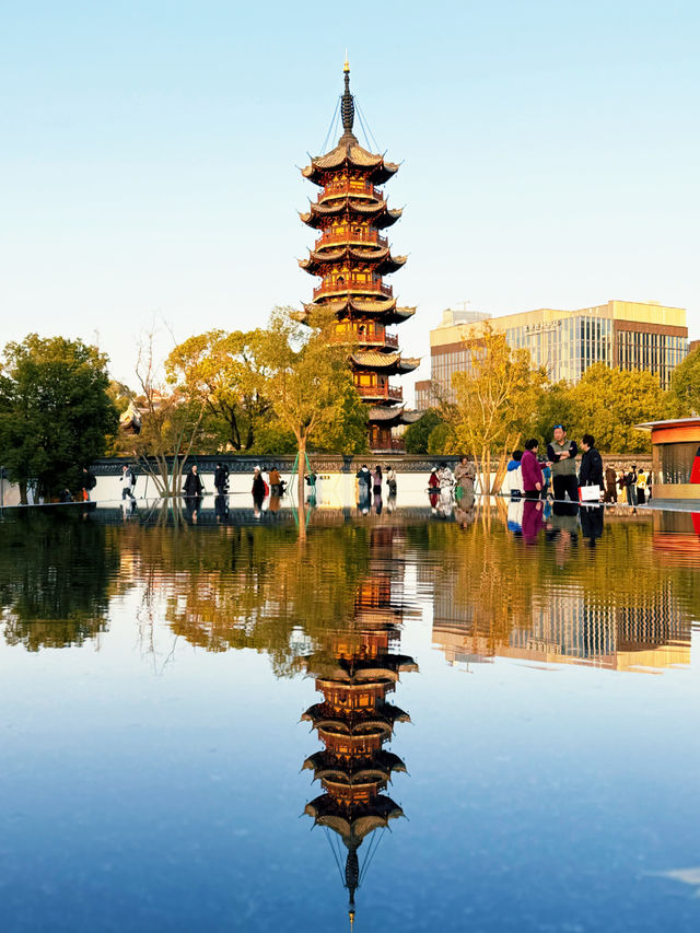 魔都秋日限定龍華寺美成古畫了!!! 魔都秋日限定龍華寺美成古畫了!!!