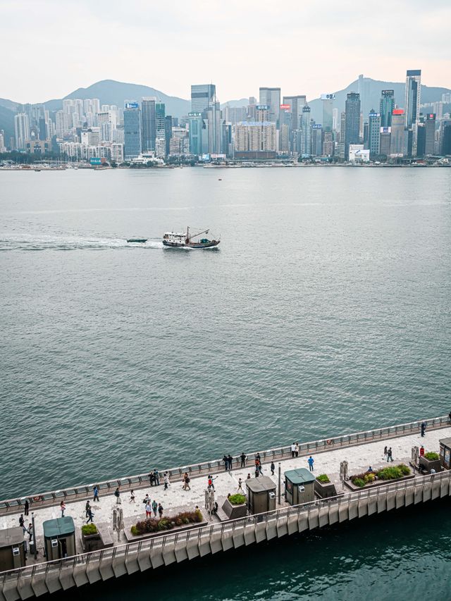 K11免費觀景台攻略｜解鎖維港黃金機位的秘密基地