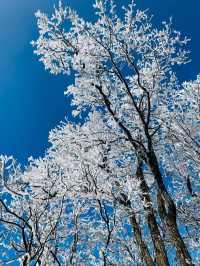 冰雪奇緣龍王山徒步踏, 雪賞霧淞