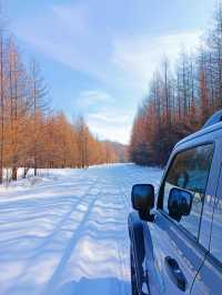 【哈爾濱·原生態雪景穿越路線】