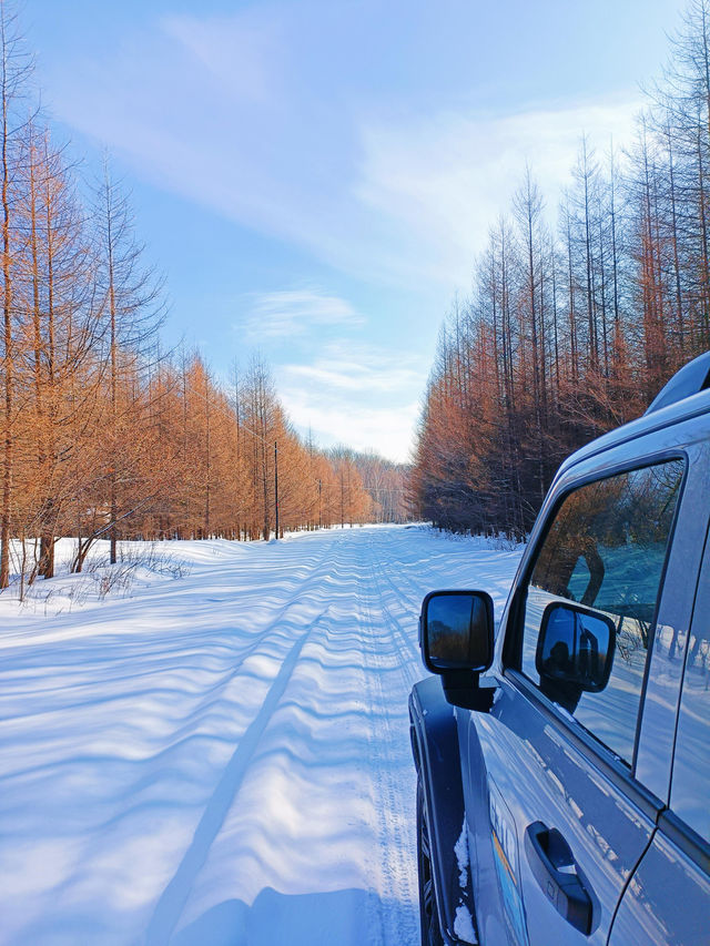 【哈爾濱·原生態雪景穿越路線】