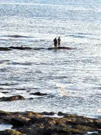 大連傅家莊的落日熔金