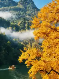 南京周邊小眾賞秋出片地!好怕它會火