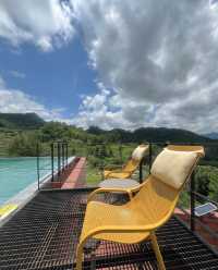 張家界民宿天花板被繡球&森林治癒的完美假期