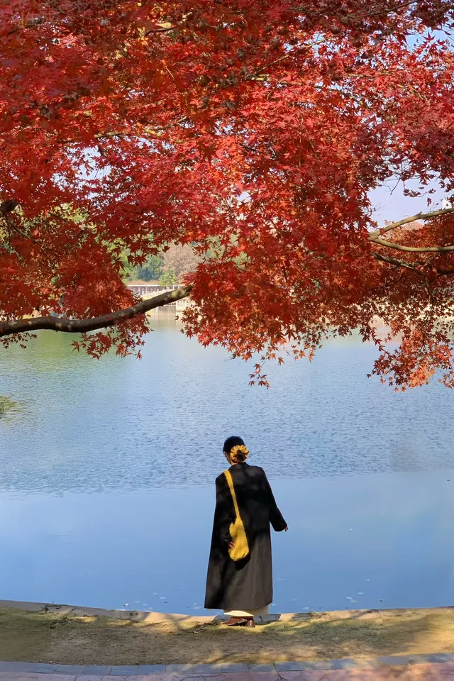 12.1武漢|現實版秋日莫內油畫~地鐵直達 12.1武漢|現實版秋日莫內油畫~地鐵直達