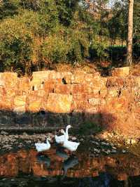 週末/假日逃離計劃|且息山裡的24h山野治癒時光