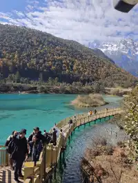 自駕玉龍雪山 牦牛坪藍月谷冰川公園攻略