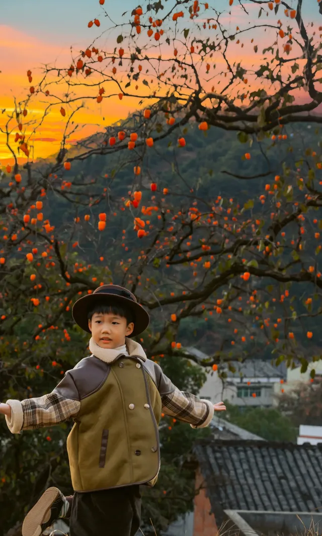 溫州市區1h達這個免費古村,柿子正紅透 溫州市區1h達這個免費古村,柿子正紅透