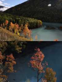 探秘新疆喀納斯，遇見最美的秋色