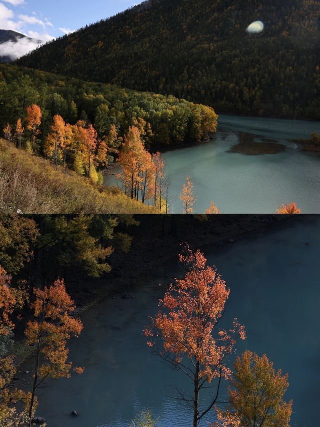 探秘新疆喀納斯，遇見最美的秋色