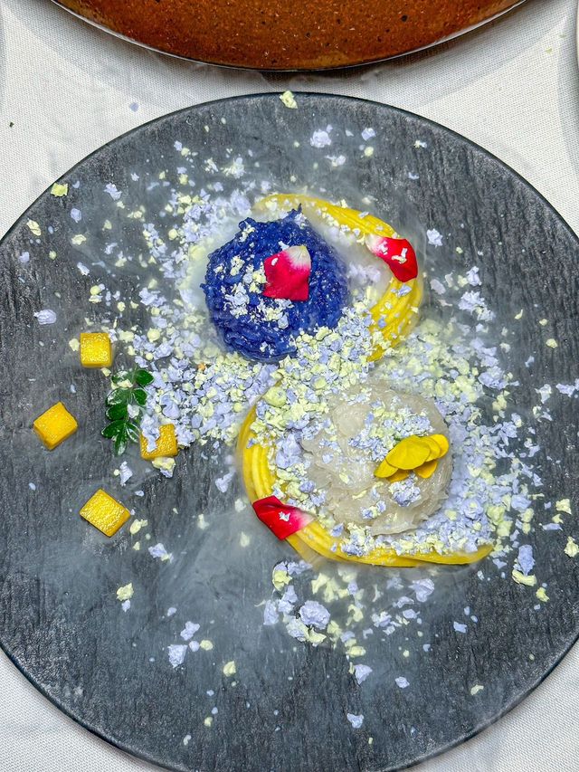 看！是聖誕樹深圳約會漂亮飯吃上了！！！